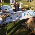 signal-2024-11-12-154956_006