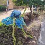 signal-2024-11-12-154956_011